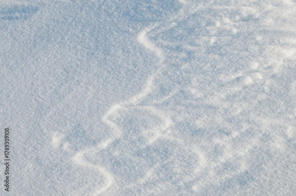 Fototapeta 雪原にできた風紋