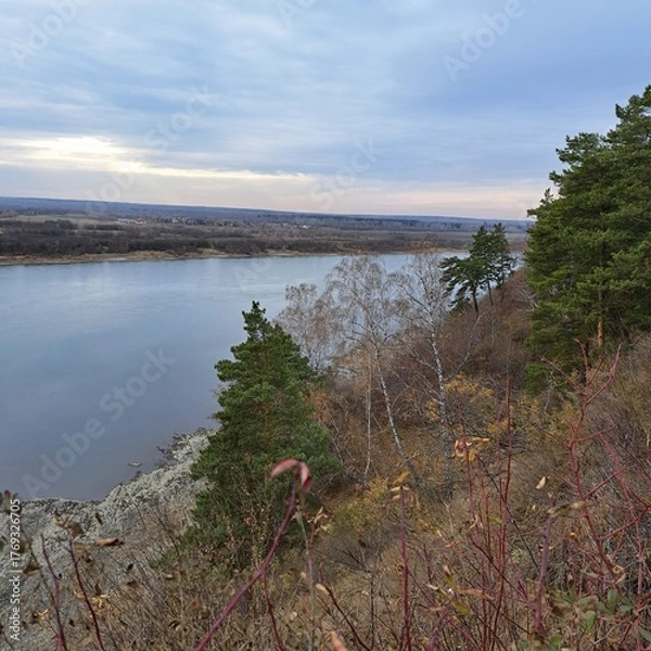 Fototapeta lake and forest