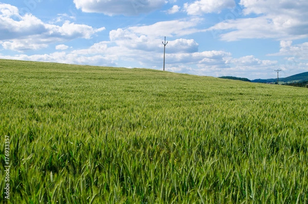 Obraz Bohemian grain