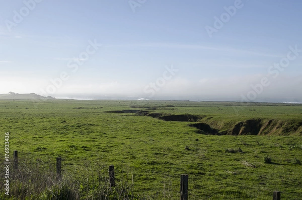 Obraz California pastures