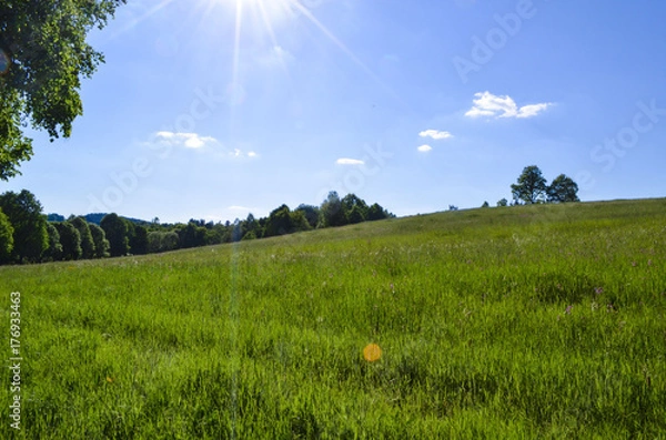 Obraz Czech countryside