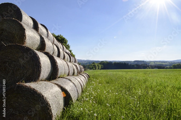 Obraz Bohemian bails