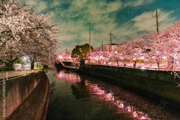 Obraz canal in amsterdam