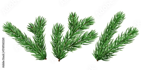 Fototapeta Vector realistic pine tree branch for Christmas and New Year design isolated on a transparent background. Holiday fir tree branch for winter banner, poster, greeting card.