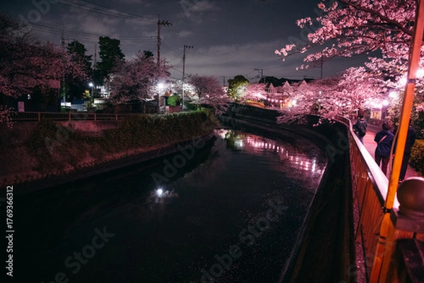 Fototapeta night view of the city