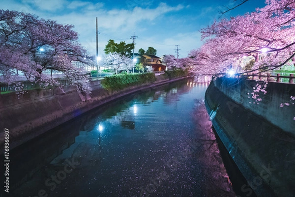 Obraz spring at night