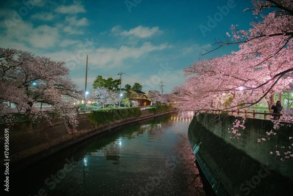 Fototapeta spring in the city