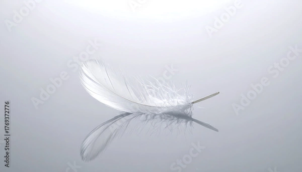 Fototapeta White feather floating gently in the air, symbol of lightness, purity, and freedom