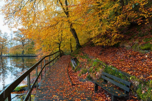 Fototapeta Beautiful autumn colors at Soderasen National Park in Sweden