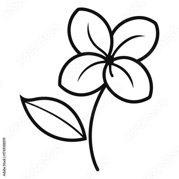 Fototapeta summersweet flower line art on white background
