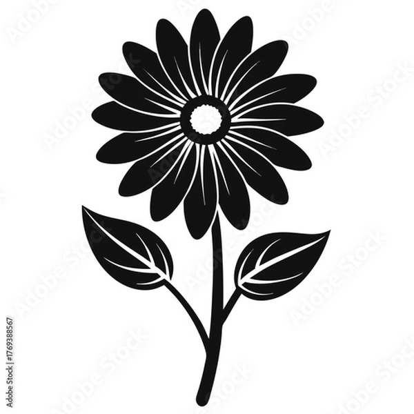 Fototapeta transvaal daisy flower silhouette on white background