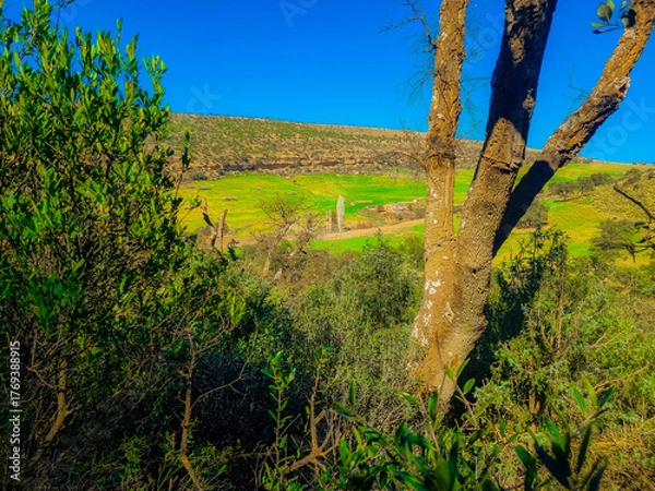 Fototapeta The beauty of nature in the countryside from the top of the forest overlooking the green fields on a sunny day