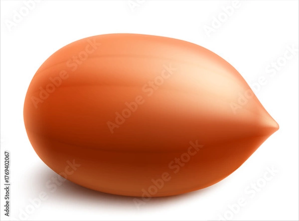 Obraz Peanuts isolated on white background. For packaging with peanut butter, a mixture of nuts. Vegetable protein for vegetarians, a healthy product. Realistic vector 3D illustration.