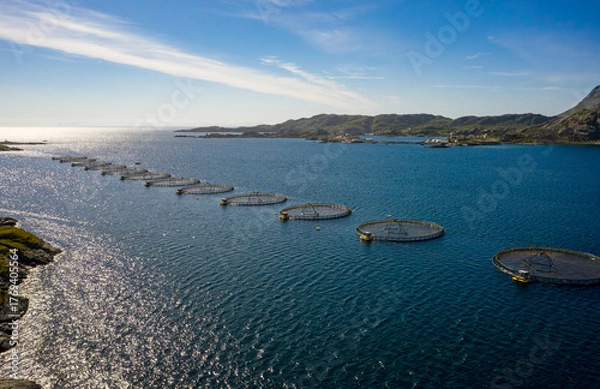 Fototapeta Farm salmon fishing in Norway. Norway is the biggest producer of farmed salmon in the world.