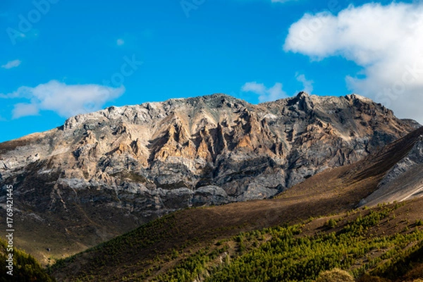 Fototapeta The rocky mountains and forest vegetation scenery of the Qinghai-Tibet Plateau region