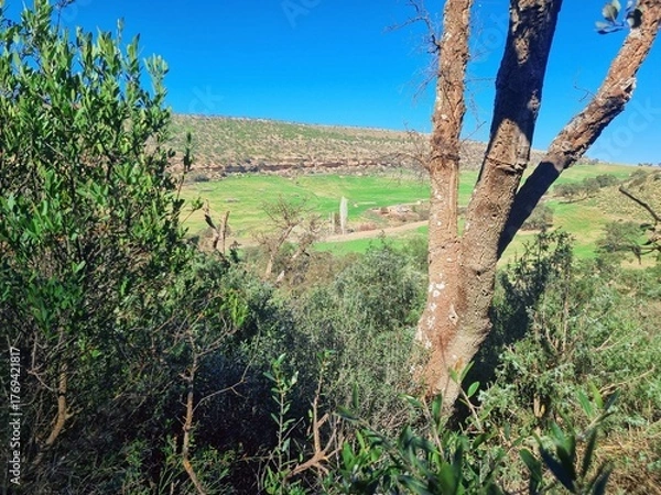 Fototapeta The beauty of nature in the countryside from the top of the forest overlooking the green fields on a sunny day