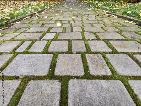 Obraz green walking path