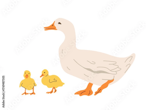 Fototapeta  Illustration of a white  duck standing with two small yellow ducklings. Farm animals isolated