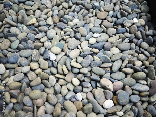 Fototapeta River pebbles or multi-colored river stones are lined up on the ground. Their smooth, smooth surfaces come in variety of colors, depending on minerals in the rocks, white, brown, black and gray.  
