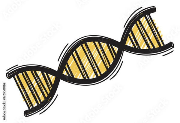 Obraz Black and yellow simple hand-drawn vector sketch of a double helix dna strand with striped pattern details.