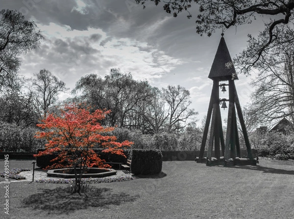 Fototapeta Red tree in black and white