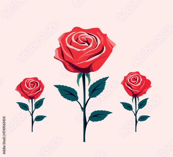 Fototapeta Rose with leaves set vector illustration	