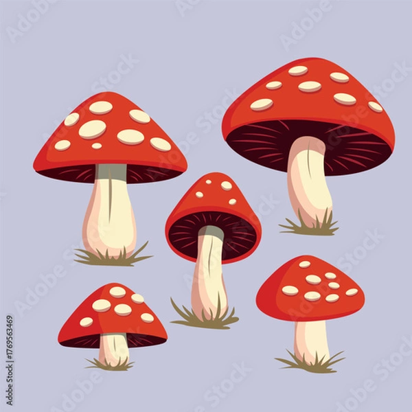 Obraz fly agaric mushrooms set vector illustration