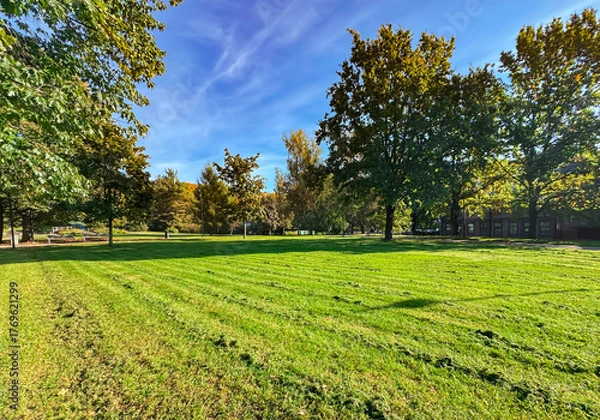 Obraz A large freshly mown lawn on a warm summer day in a city park in Riga, Latvia. The concept of a well-maintained environment.