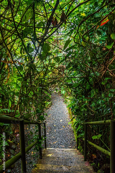 Obraz footpath in the woods