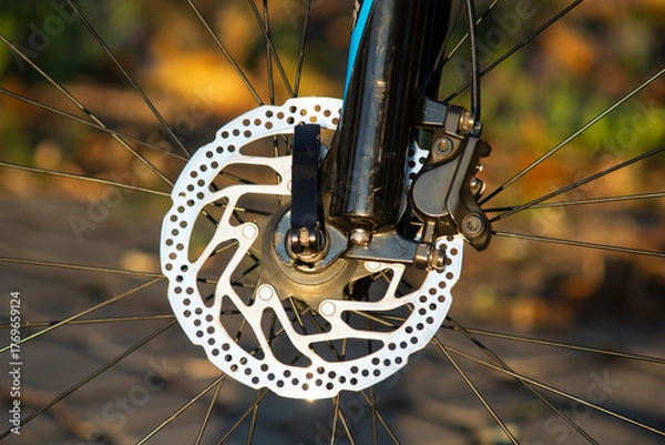 Obraz bicycle braking system