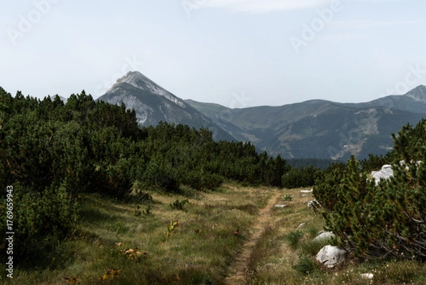 Obraz mountain landscape on peak of the balkans trail in Albania