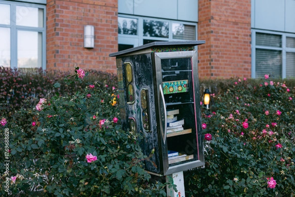 Fototapeta Colorful little free library surrounded by blooming roses in a sunny neighborhood setting