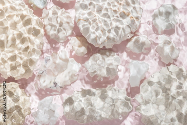 Fototapeta white stones with sun lights shadow in water over abstract pink background, beautiful abstract spa background concept banner for cosmetic body care product
