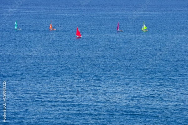 Fototapeta Five colorful sailboats