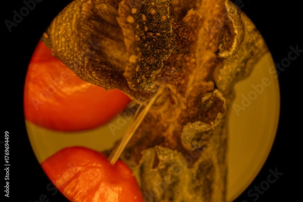 Obraz Magnolia Fruit up Close - Microscope