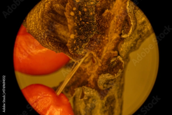 Obraz Magnolia Fruit up Close - Microscope