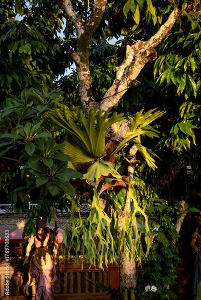 Obraz Ubud Water Palace