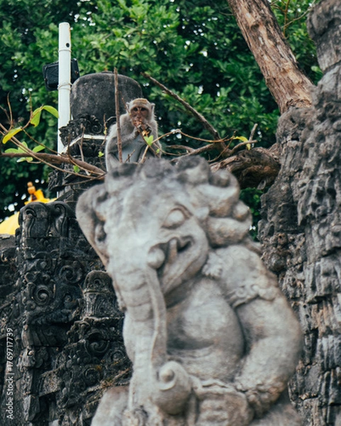 Obraz monkey above the elephant statue, Uluwatu temple