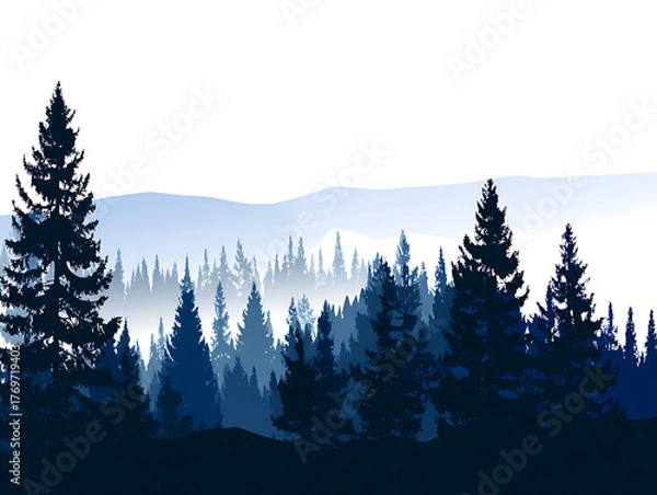 Obraz forest in the mountains