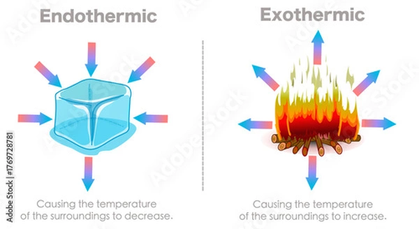 Fototapeta Endothermic, exothermic chemical reactions. Hot cold. Ice cube, camp fire. Release energy in the form of heat. Absorb heat energy from their surroundings.  Illustration vector	
