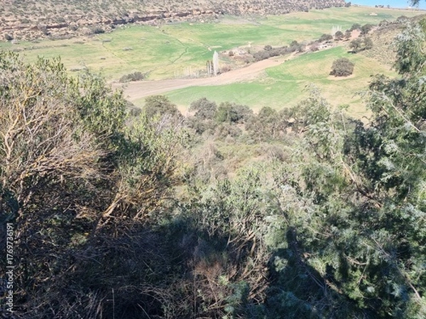 Fototapeta The beauty of nature in the countryside from the top of the forest overlooking the green fields on a sunny day