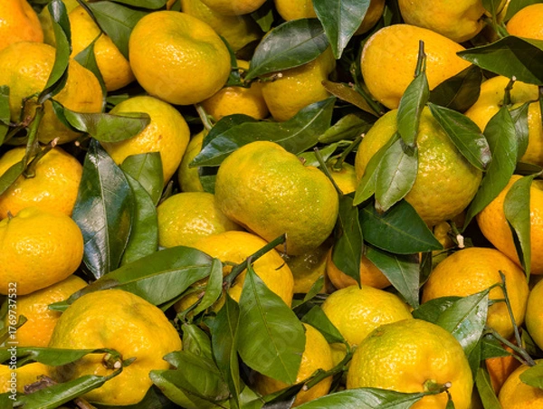 Obraz Tangerines with leaves at the market