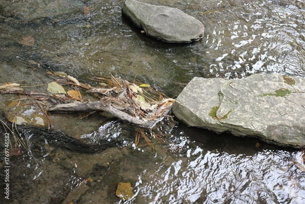 Fototapeta water cascading down a stream