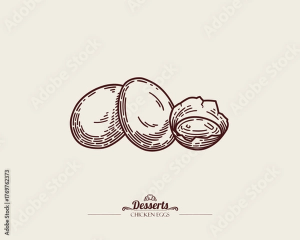 Fototapeta Three chicken eggs. One broken egg, yolk visible. Vintage vector line art illustration.
