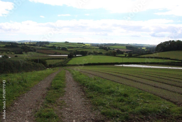 Fototapeta Fields and farmhouses across the countryside of Devon underneath the summer sun