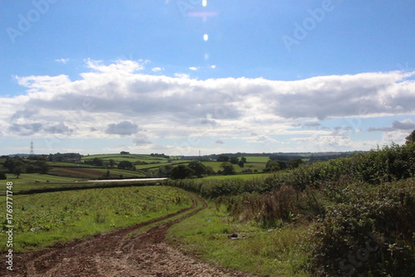 Fototapeta Fields and farmhouses across the countryside of Devon underneath the summer sun
