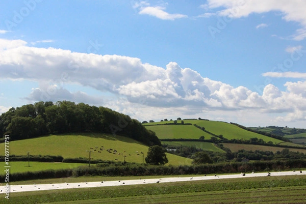Fototapeta Fields and farmhouses across the countryside of Devon underneath the summer sun