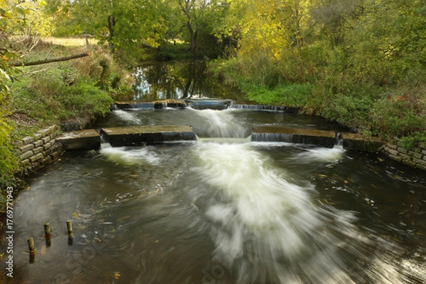 Fototapeta Watching on from the banks of the river Lea while it supports ducks, geese, swans, numerous plants as well as a boating lifestyle, while it flows through hertford just north of London 