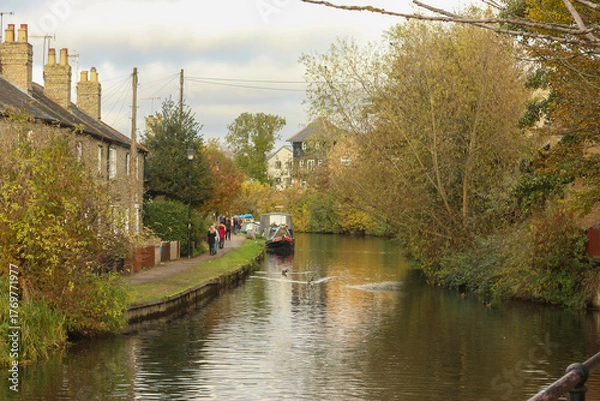 Fototapeta Watching on from the banks of the river Lea while it supports ducks, geese, swans, numerous plants as well as a boating lifestyle, while it flows through hertford just north of London