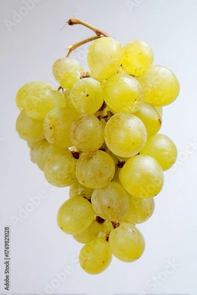 Fototapeta Un grappolo di uva bianca, con acini lucidi e maturi. Sfondo bianco.